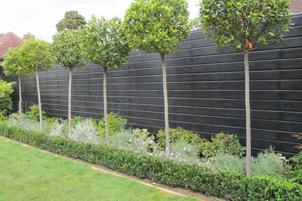 Garden Fencing Leicester