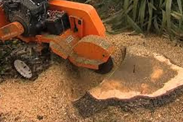 Stump Grinding Leicester
