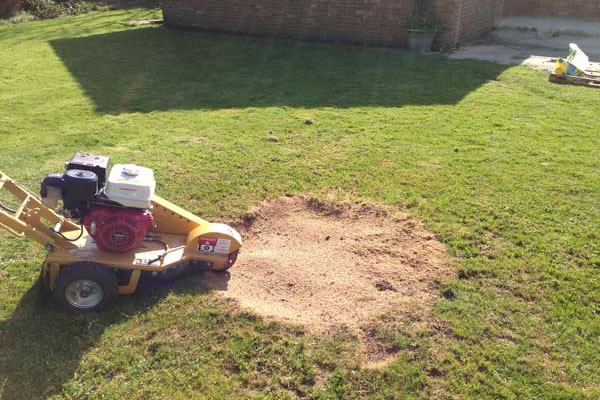 Stump Grinding Leicester