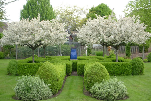 Tree Shaping Leicester